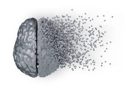 Understanding Alzheimer Disease Progression: Insights from Brain Imaging Studies